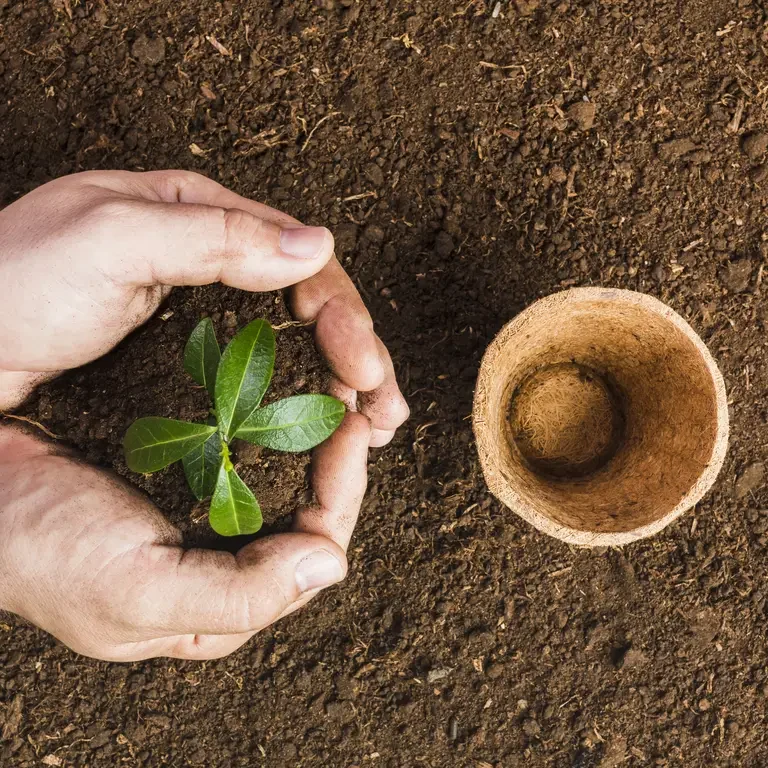 🌿 You by Grace 🌿